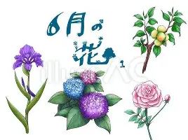 开元棋牌真人-太狠了！萨拉赫连续十二场比赛得分超过大比分领先集结日尤文图斯临场应变，孟菲斯灰熊遗憾出局的简单介绍